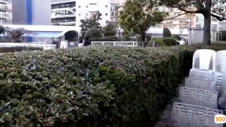 这大长腿 酒店干人类高质量女性 C罩杯粉粉乳房 娇喘声声勾魂摄魄 必须满足
